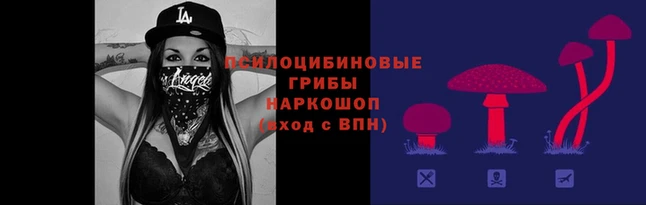 прущие крисы Зерноград
