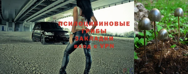 прущие крисы Зерноград
