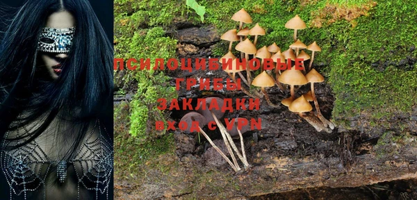 таблы Гатчина