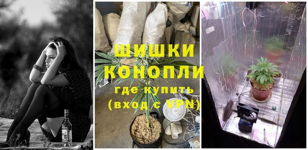 ПСИЛОЦИБИНОВЫЕ ГРИБЫ Зеленокумск