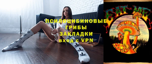 ПСИЛОЦИБИНОВЫЕ ГРИБЫ Зеленокумск