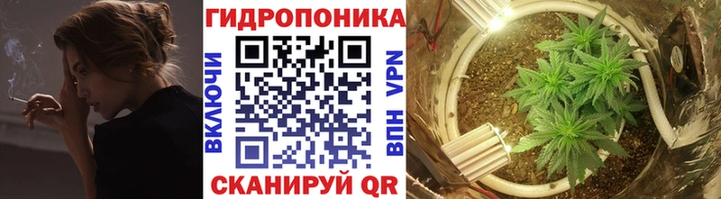 Канабис семена  цены   Инта 